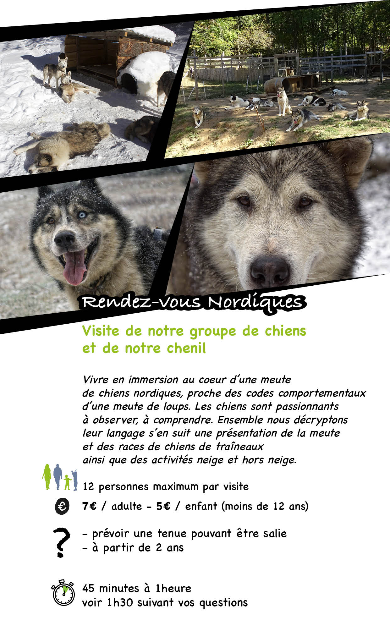 visiter dans le Vercors, la Drome, chien de traineau