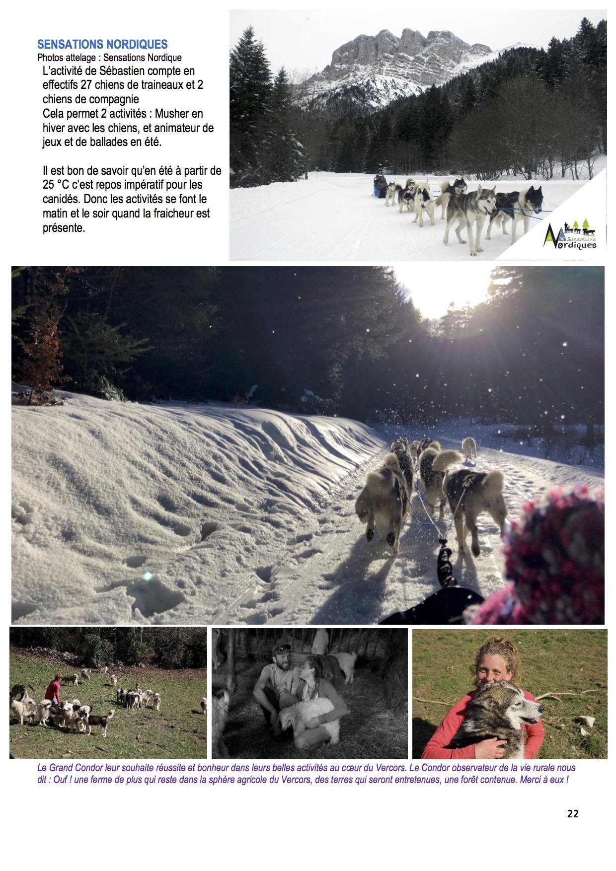 Bel article d'El condor